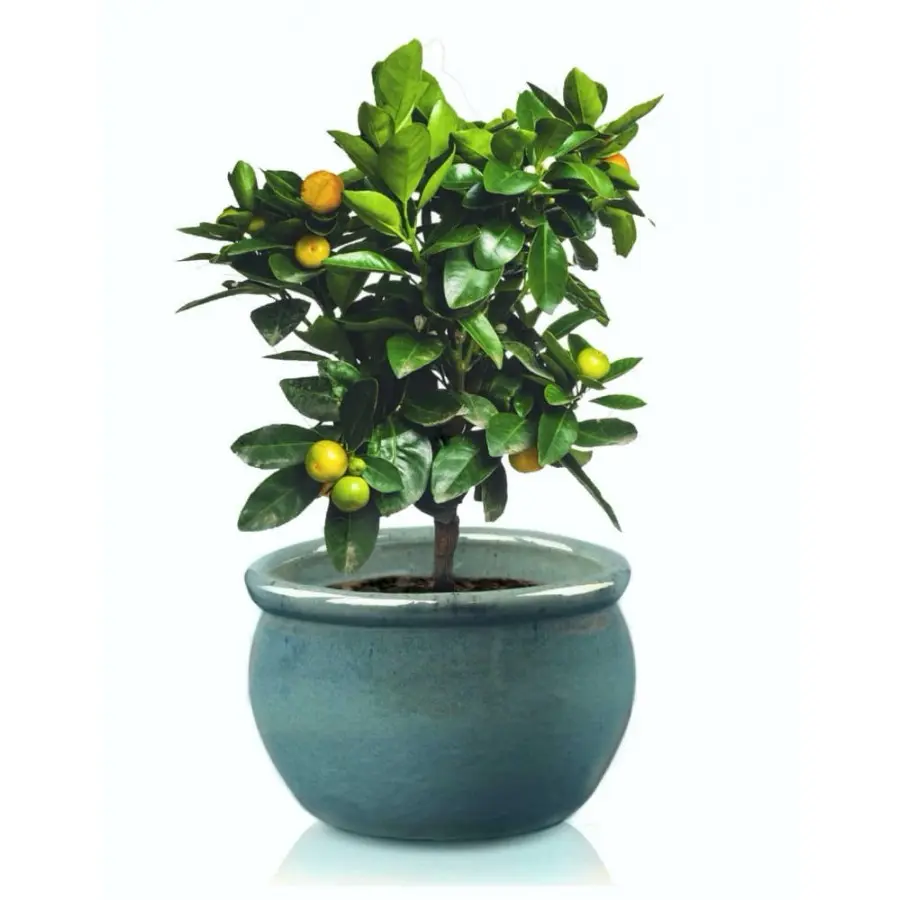 Donica ceramiczna misa turkusowa szkliwiona