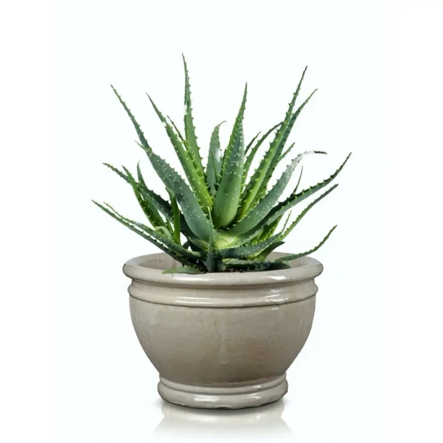 Doniczka ceramiczna kremowa kielich szkliwiona