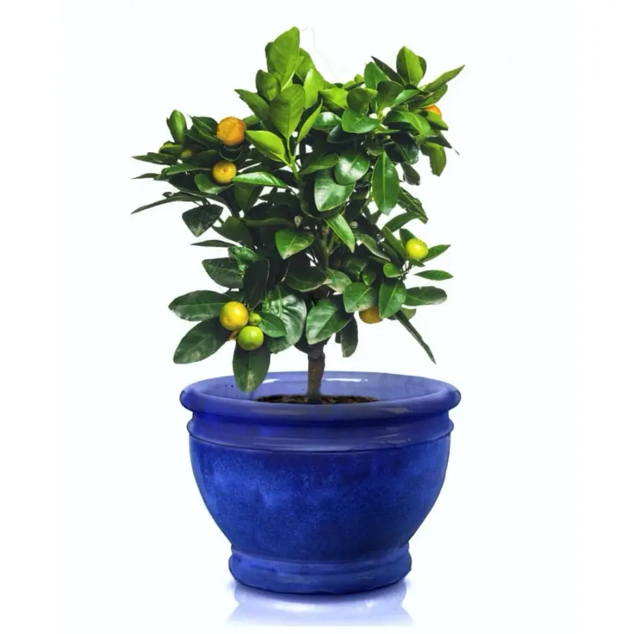 Doniczka ceramiczna kobaltowa kielich szkliwiona