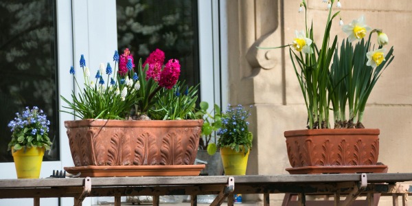 Nowoczesne donice na balkony i tarasy - jak znaleźć idealne doniczki do potrzeb swoich roślin